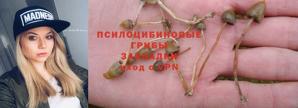 индика Новосибирск