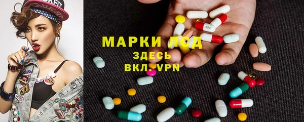 гидра Алзамай