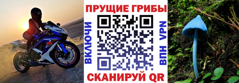 Галлюциногенные грибы прущие грибы Аткарск